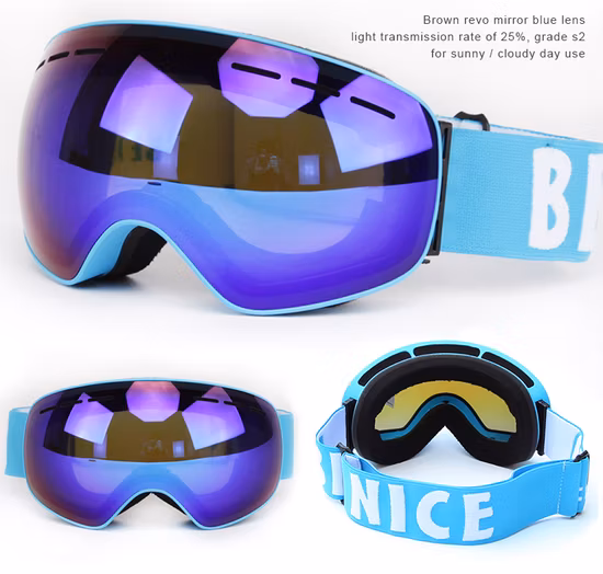 Easy Change Dural Lens Qualified Ski Lens Goggles TPU Frame Priate Logo Strap