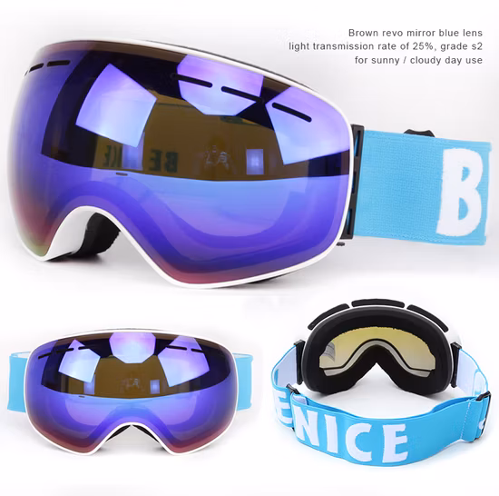 Easy Change Dural Lens Qualified Ski Lens Goggles TPU Frame Priate Logo Strap